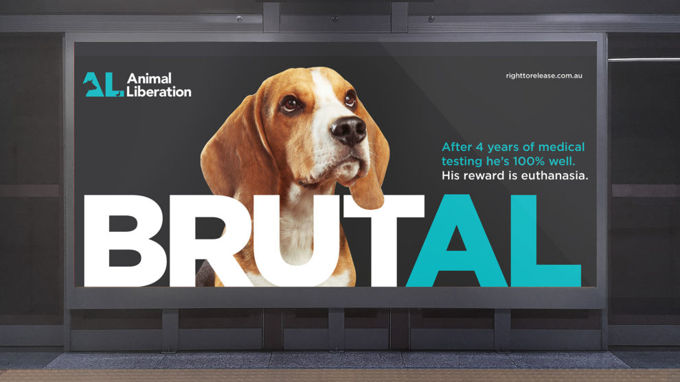 Animal Liberation | Traffic