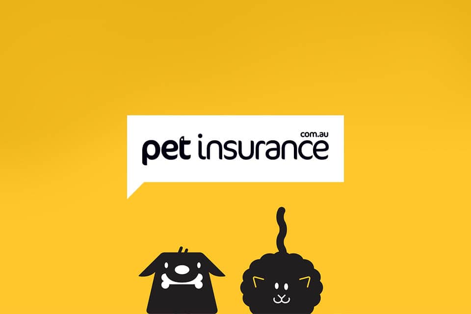 Pet Insurance